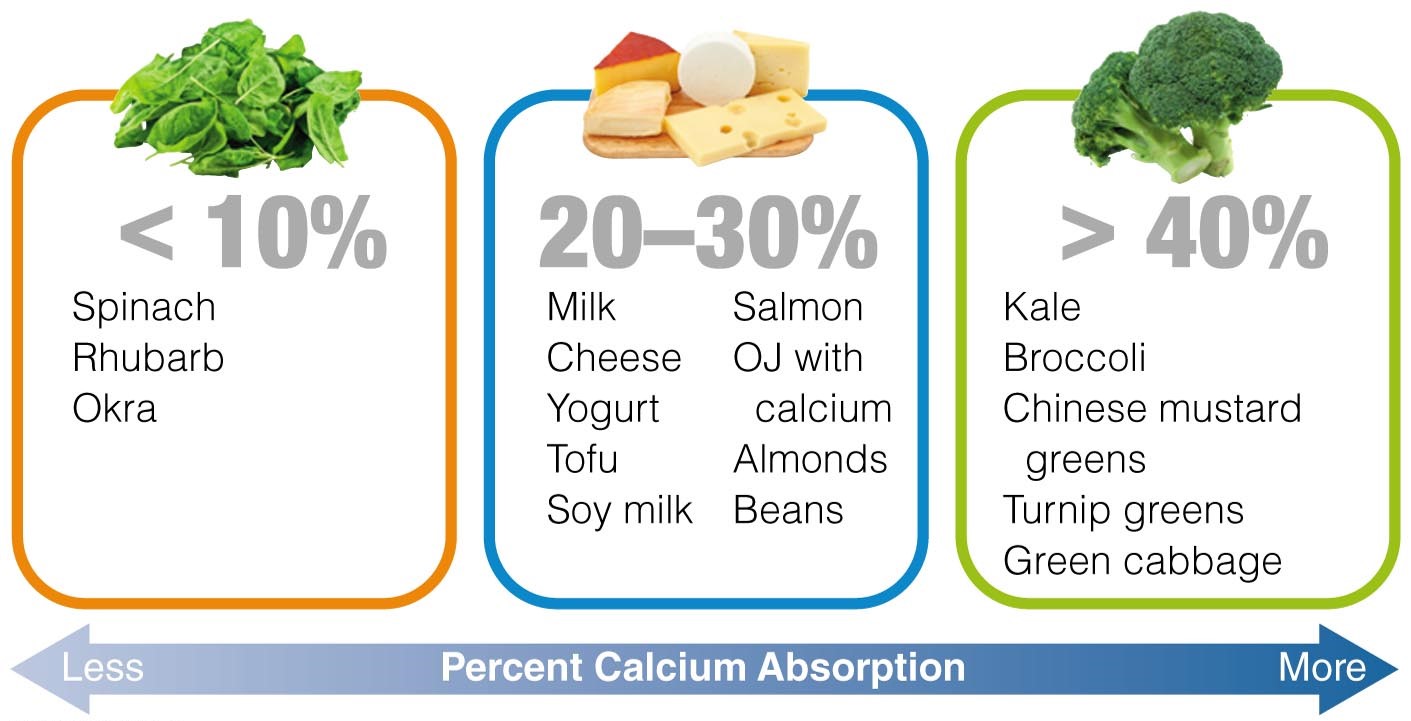 Bioavailability of Calcium