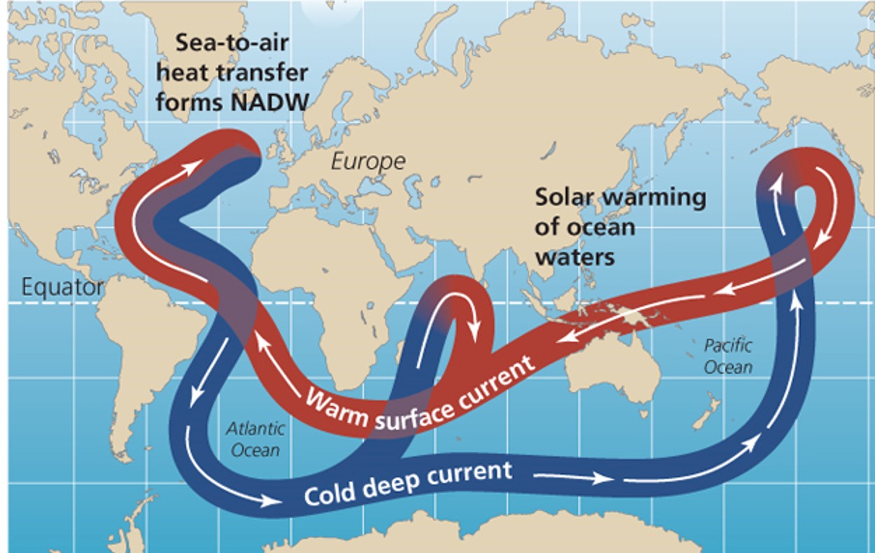 Thermohaline circulation