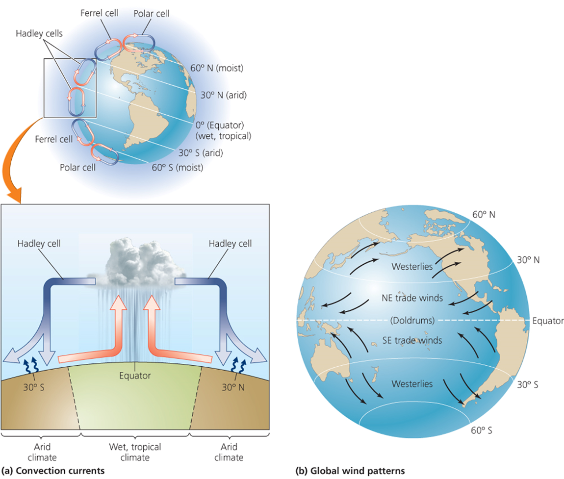 Large-scale circulation systems produce global climate patterns