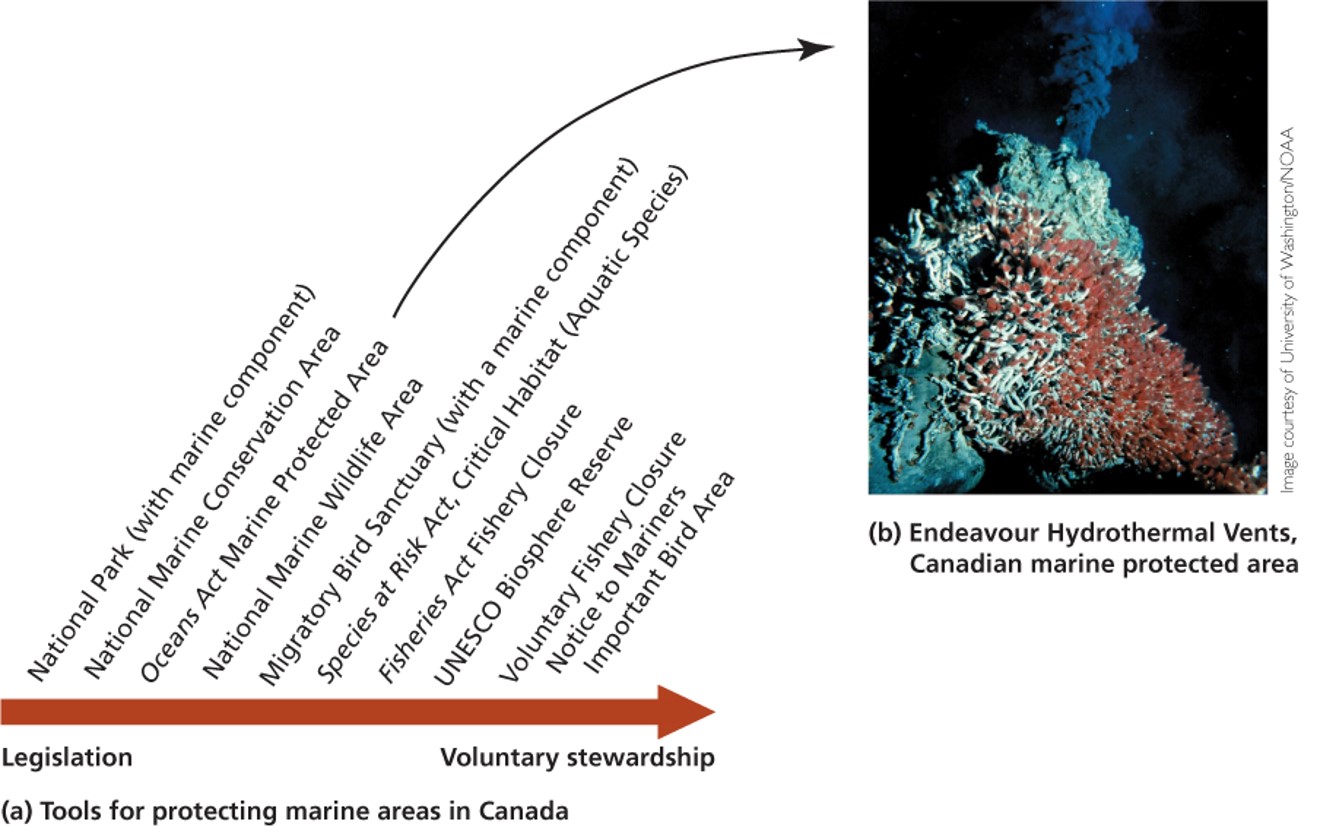 Protection of vulnerable areas in the ocean