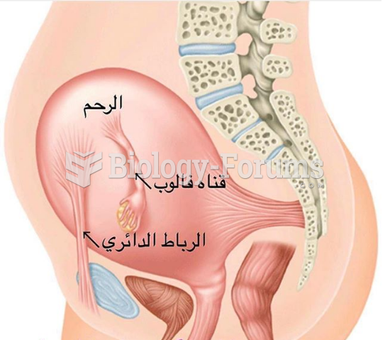 Pregnancy abdomen pain