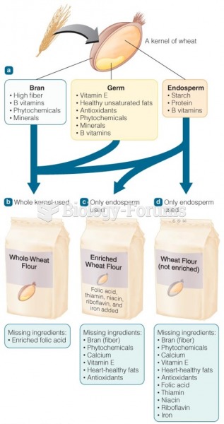 From Wheat Kernel to Flour