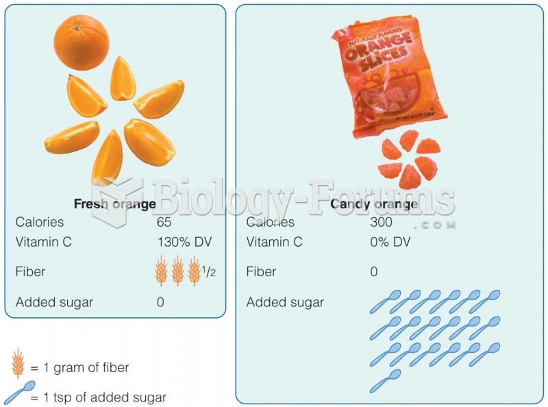 Slices of an Orange versus Orange Slices