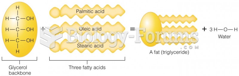 Structure of a Triglyceride A triglyceride consists of three fatty acids attached to a glycerol back