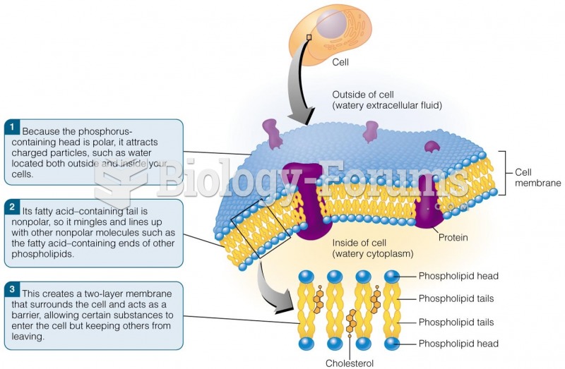 Phospholipids’ Role in Your Cell Membranes