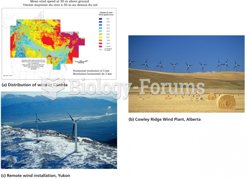 Wind turbines: the fastest-growing energy sector