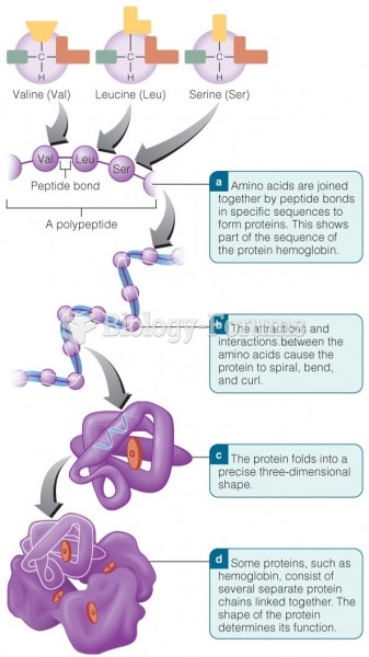 The Making of a Protein