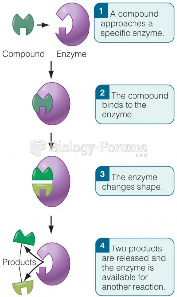 An Enzyme in Action Enzymes speed up reactions in your body
