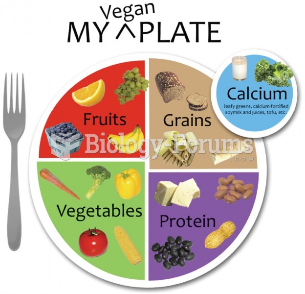 My Vegan Plate