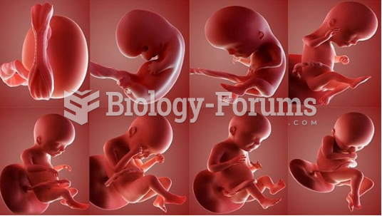 Fetal Development Timelines