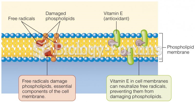 Vitamin E as an Antioxidant