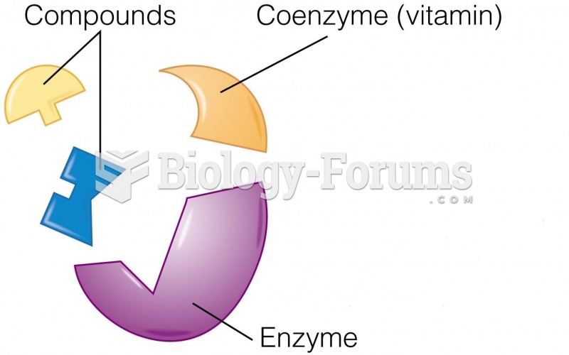 How B Vitamins Function as Coenzymes