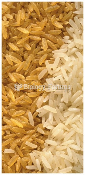 White and yellow rice