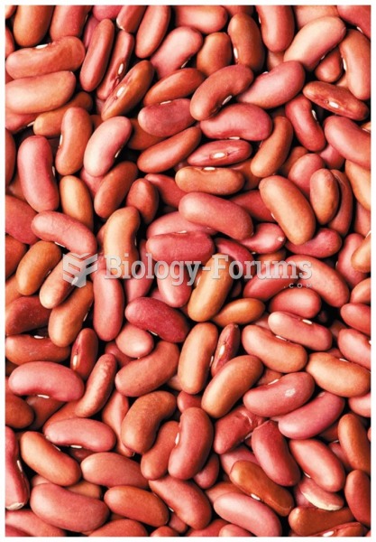 Red kidney Beans