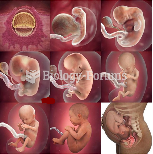 Fetal development from 1 month to 9 months
