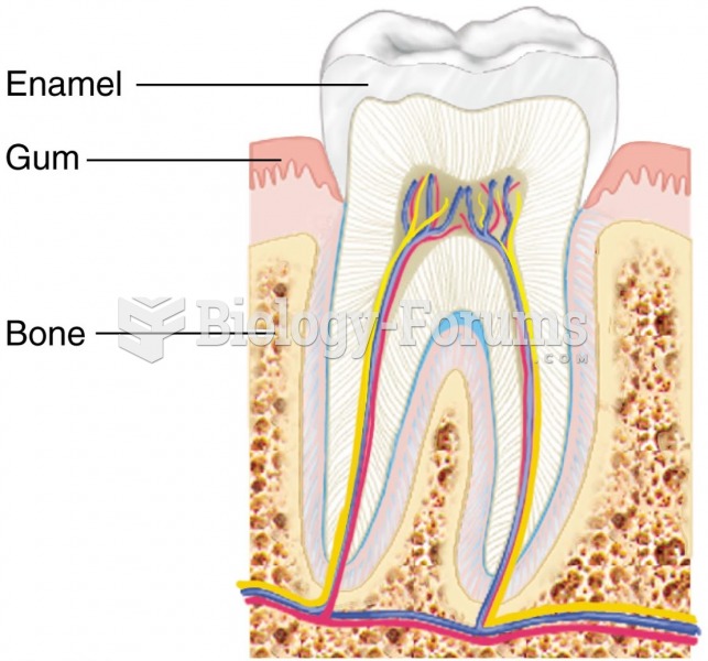 Structure of a Tooth