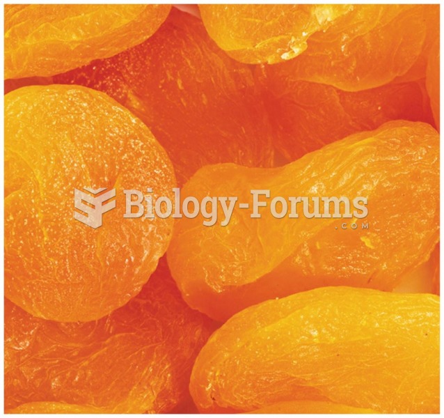 Dried Apricots Fruit