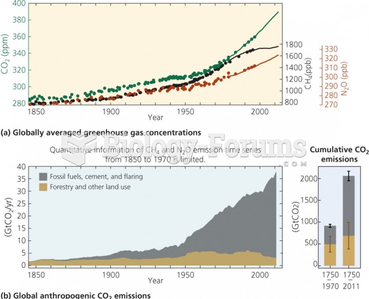 Global climate change and CO2 concentration