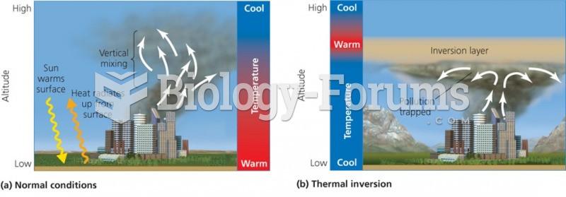 Normal and thermal inversion air masses interaction