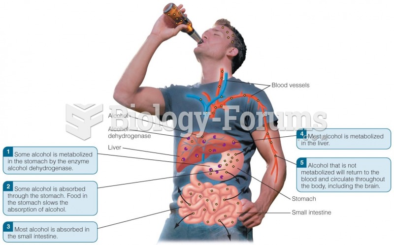 The Metabolism of Alcohol in the Human Body