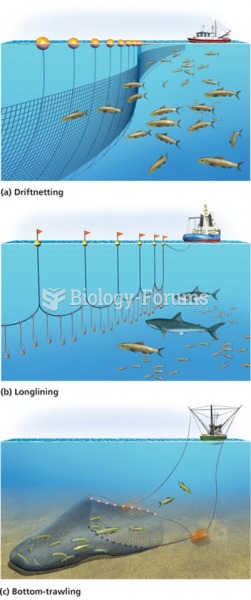 Modern commercial fishing is highly efficient