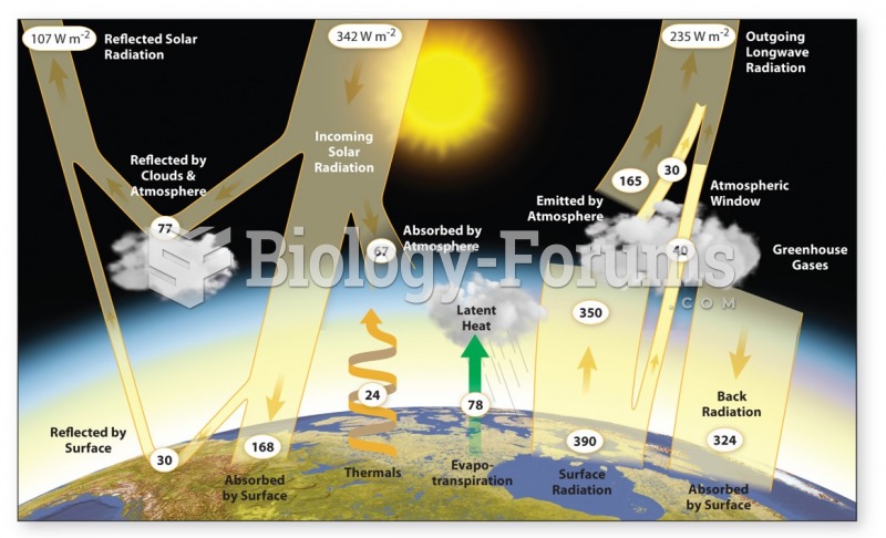 Global Energy Flow