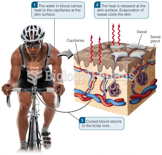 Water Helps Regulate Your Body Temperature