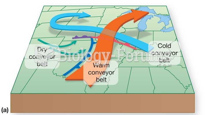 Frontal systems