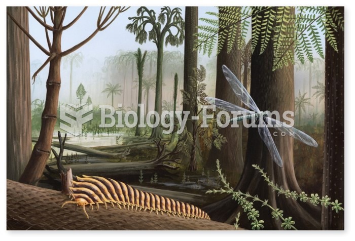 Carboniferous forests