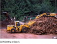 Forestry residues