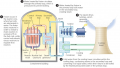 Enriched uranium is used as fuel in nuclear reactors