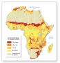Cereal production in Africa may decrease by as much as 50% by 2080 in some areas