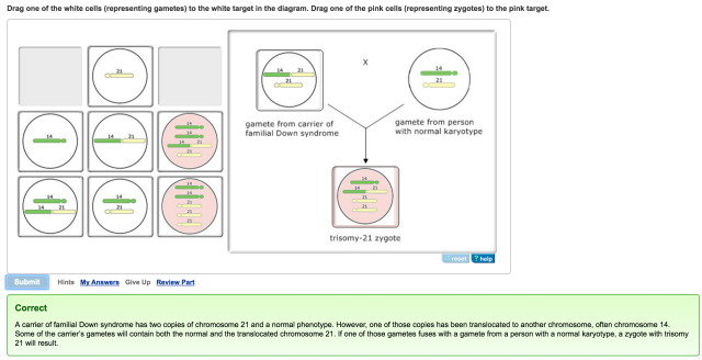 Mastering Biology Question