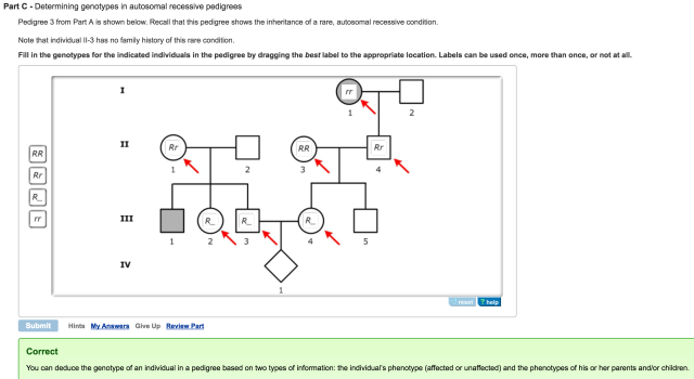 Mastering Biology Question