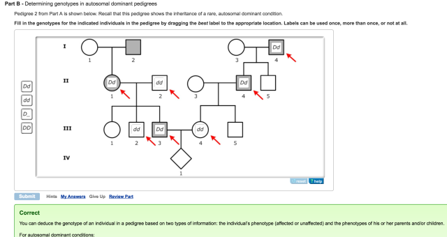 Mastering Biology Question