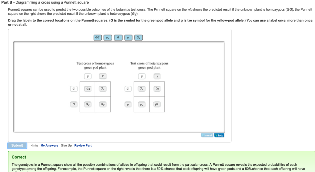 Mastering Biology Question