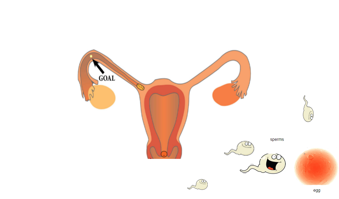 Sperm counts "العدد الطبيعي للحيوانات المنوية"