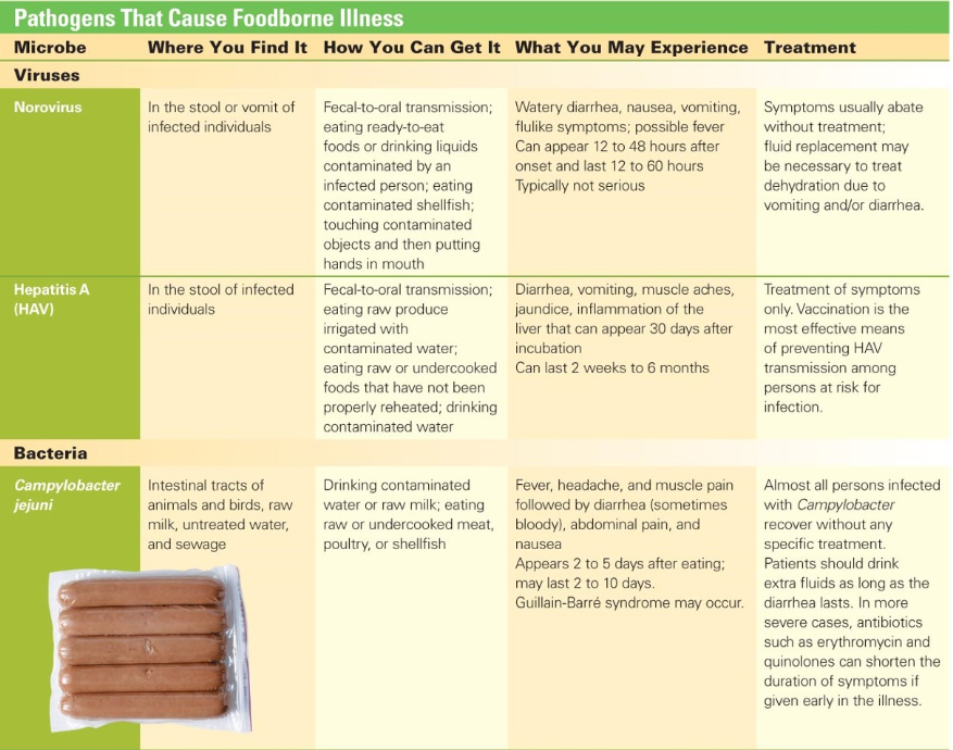 Pathogens That Cause Foodborne Illness (1 of 5)