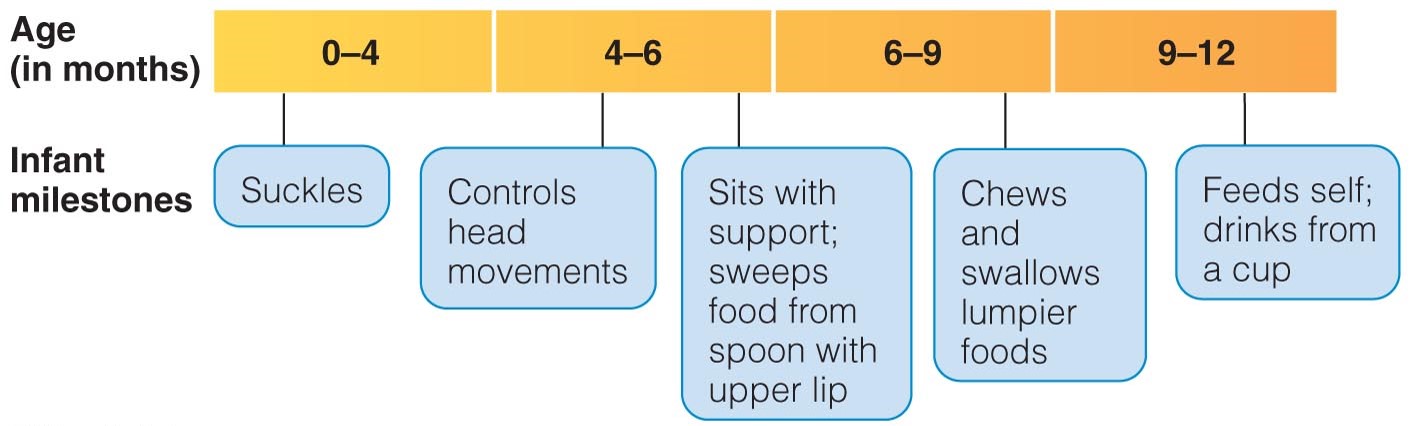 Solid Foods Should Be Introduced Gradually after Certain Milestones Are Reached