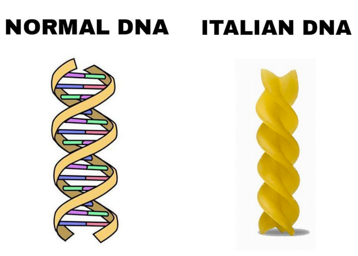 Normal DNA vs Italian DNA