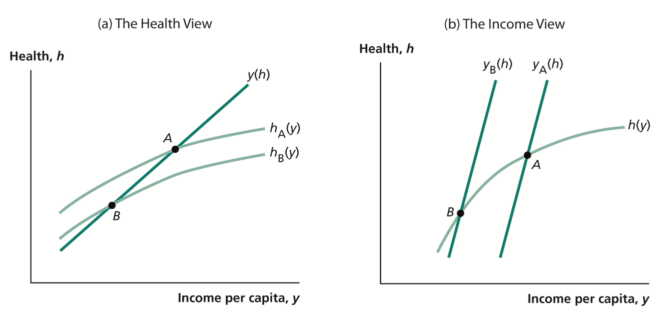 Health and Income per Capita: Two Views