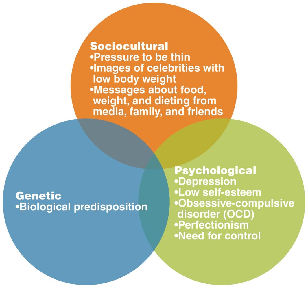 Factors That Contribute to Eating Disorders