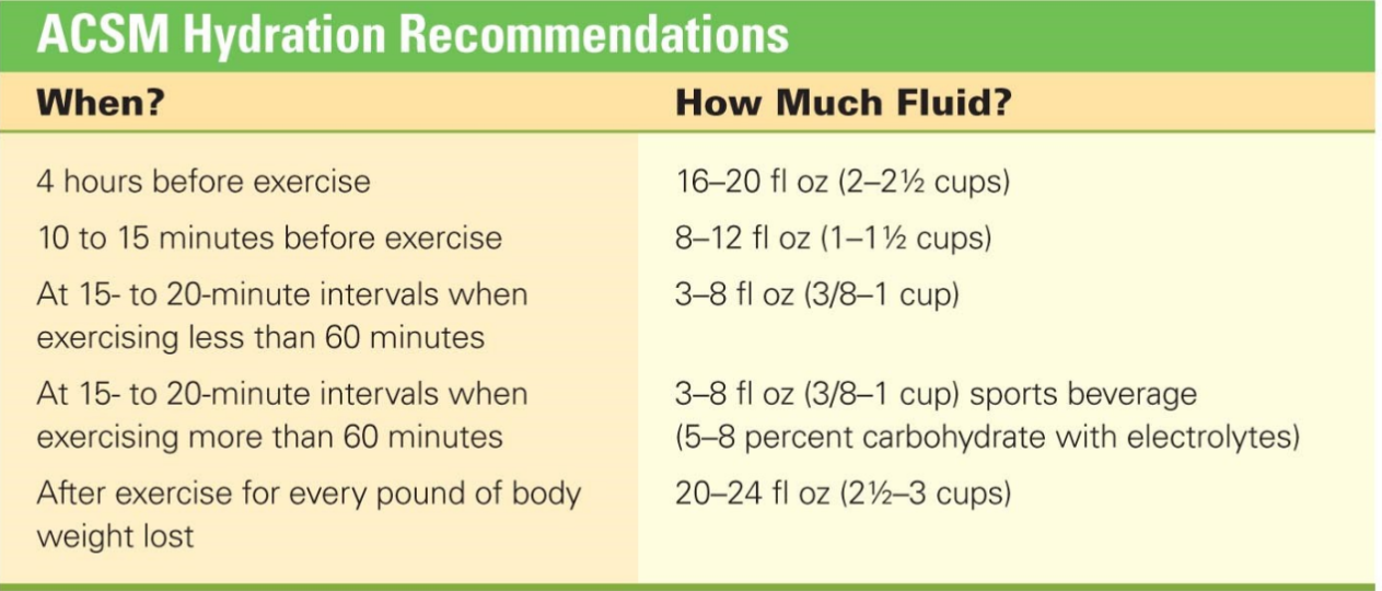 ACSM Hydration Recommendations