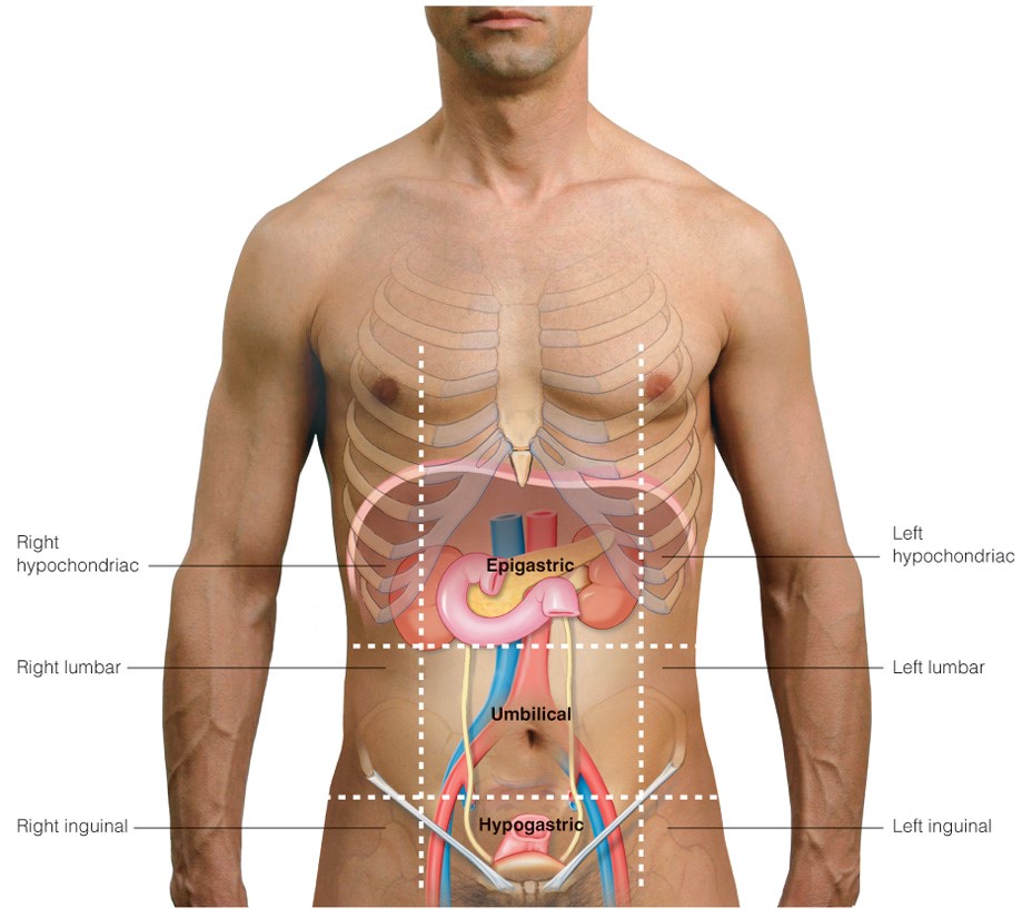 Mapping of the abdomen into nine regions