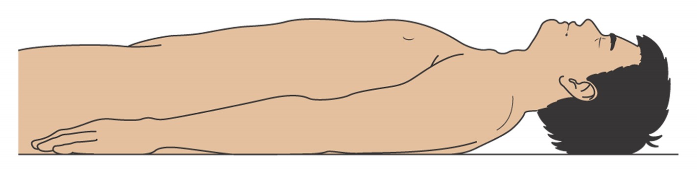 Contour of the abdomen