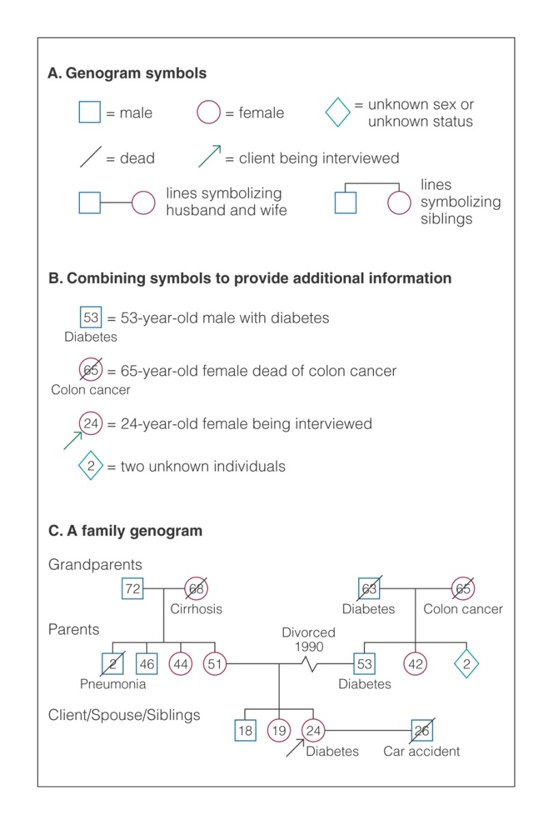 Genogram