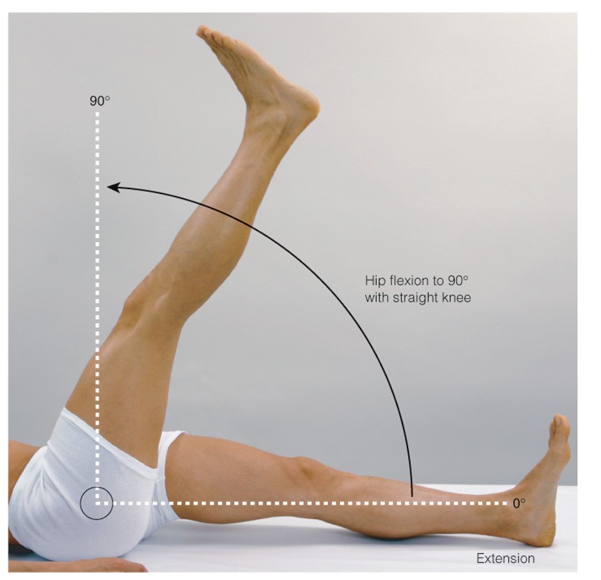 Flexion of the hip with straight knee