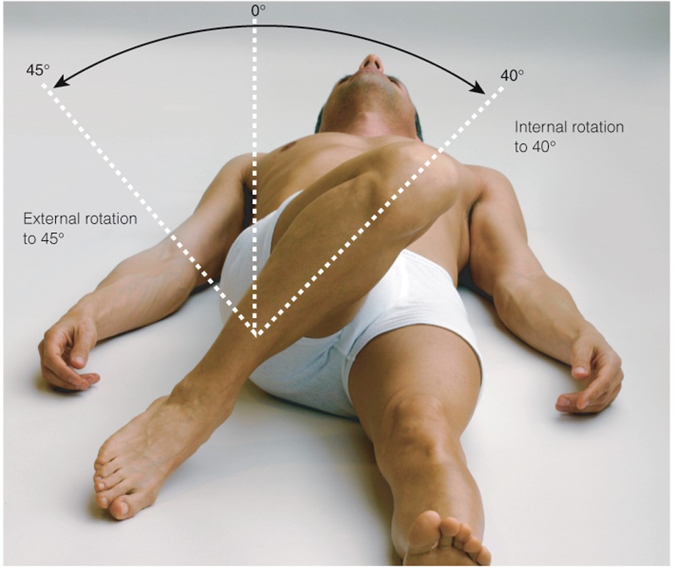 Internal and external hip rotation