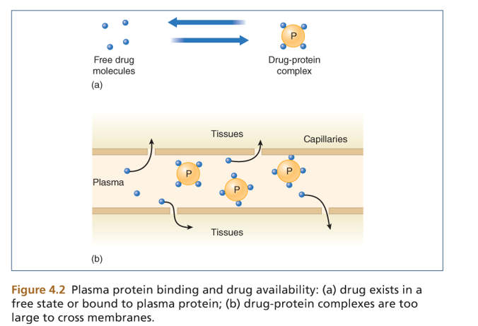 Drug-drug interactions