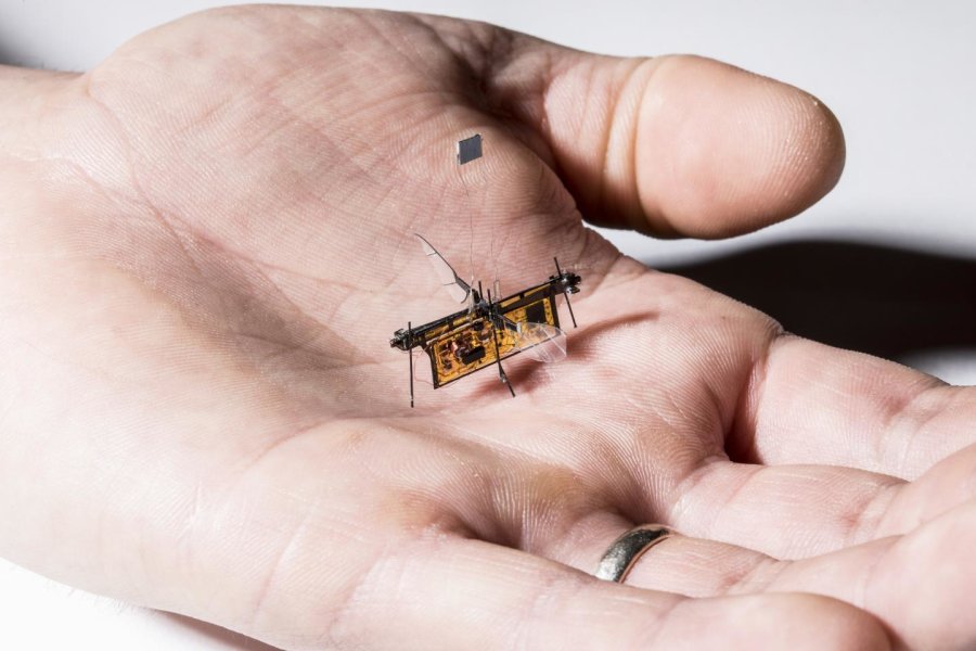 RoboFly, the first wireless insect-sized flying robot